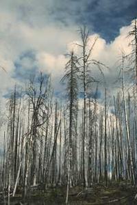 十三水苹果版下载-第4张图片-太平洋在线下载