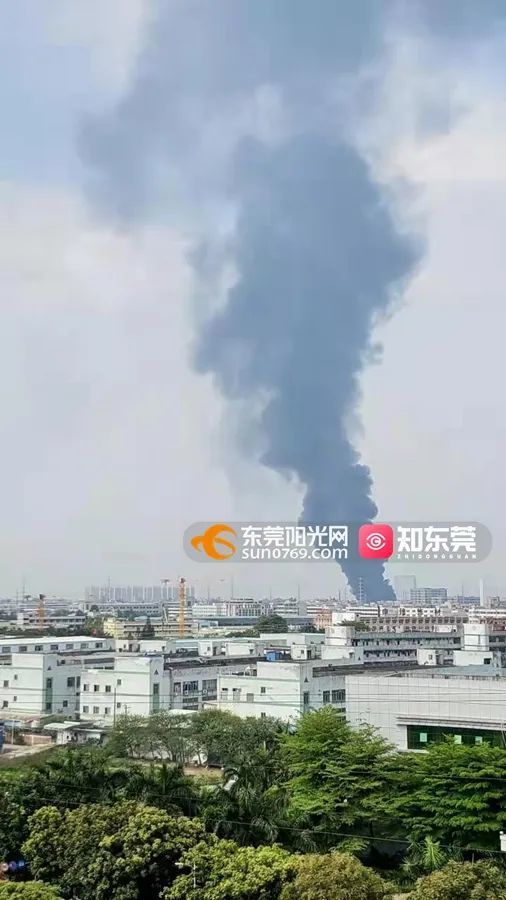 东莞桥头新闻手机爆炸原因的简单介绍