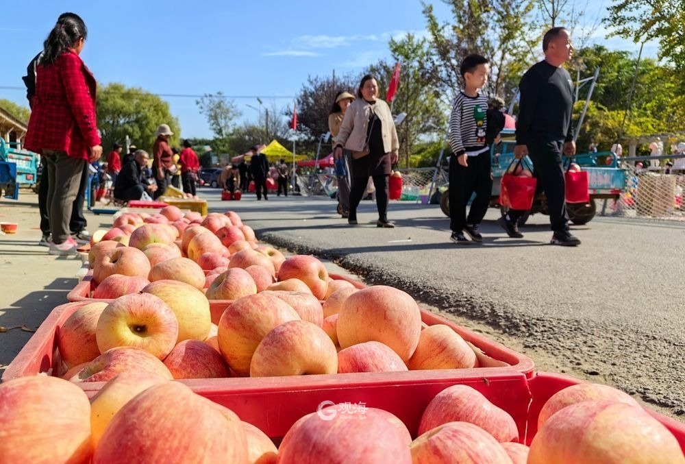 小苹果致富路新闻今年免费的致富路子-第2张图片-太平洋在线下载