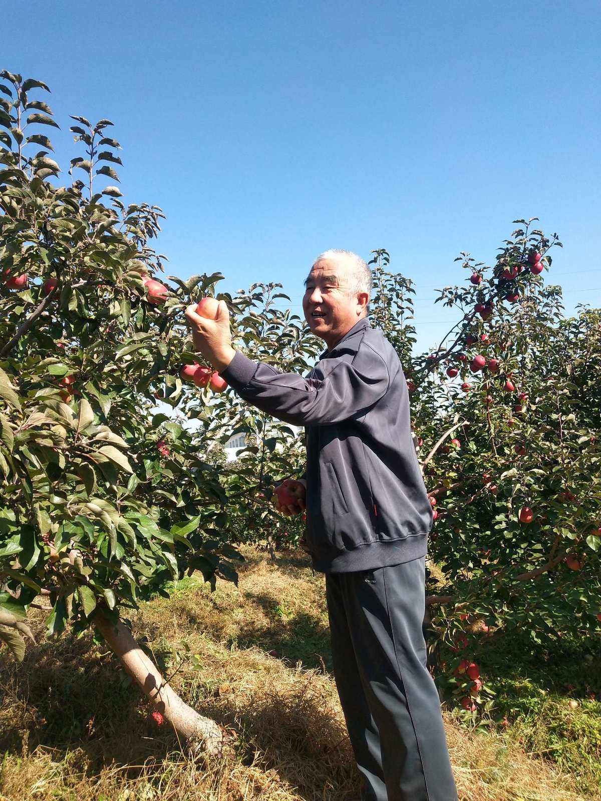 2019年苹果采收新闻2019年苹果春季发布会-第2张图片-太平洋在线下载