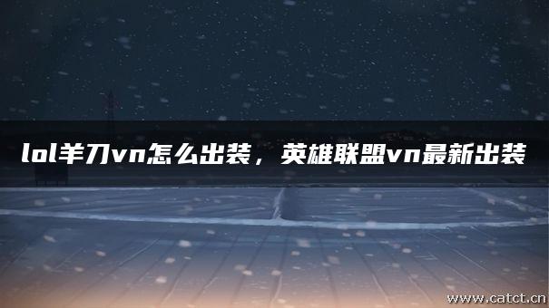 vnvn安卓版vn软件免费下载手机版