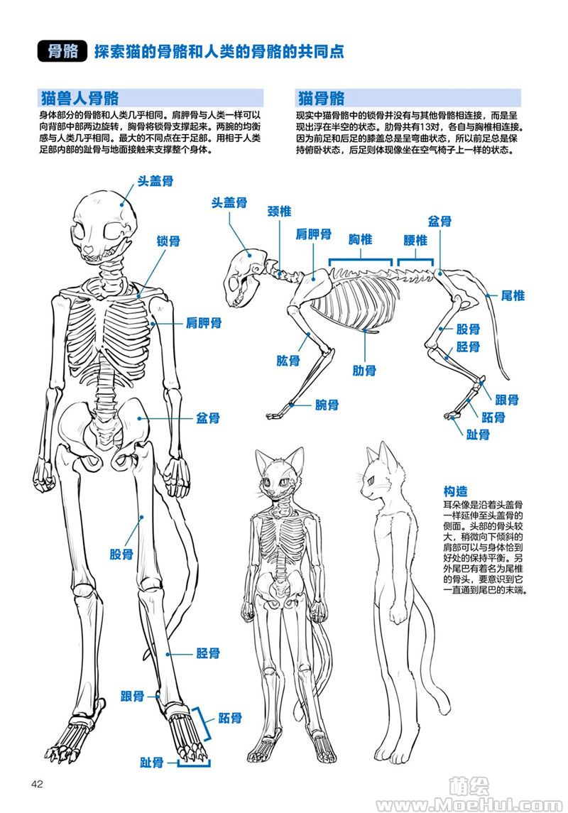 兽人代码手机版下载兽人的画法汉化pdf下载